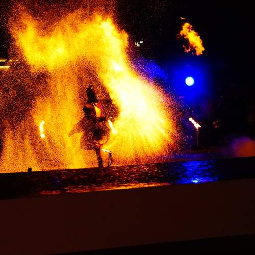 Photo #10919467
