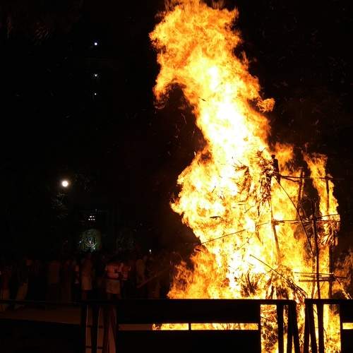 Photo #10919469
