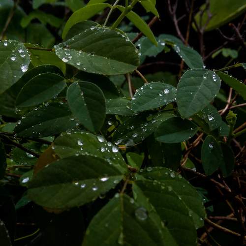Photo #10919582