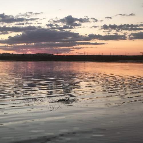 Photo #10919688