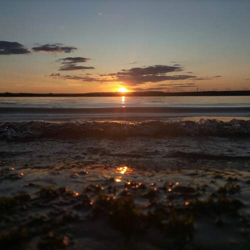 Photo #10919745