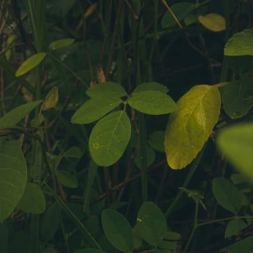 Photo #10920252