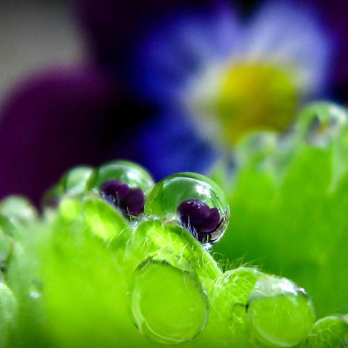 Photo #10920301