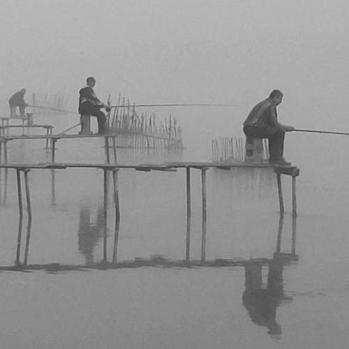 Photo #10920454