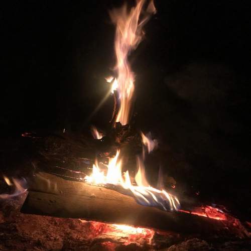 Photo #10920960
