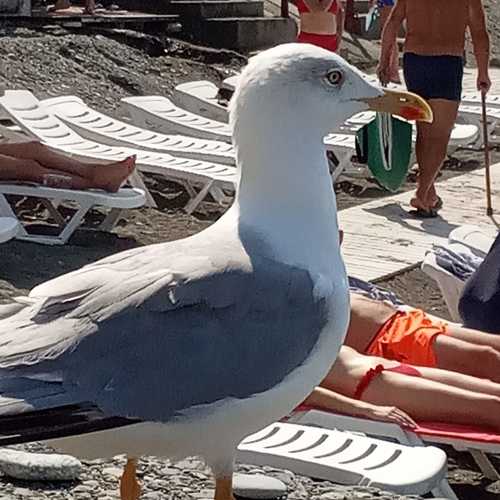 Photo #10921099
