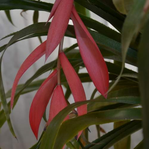 Photo #10921131