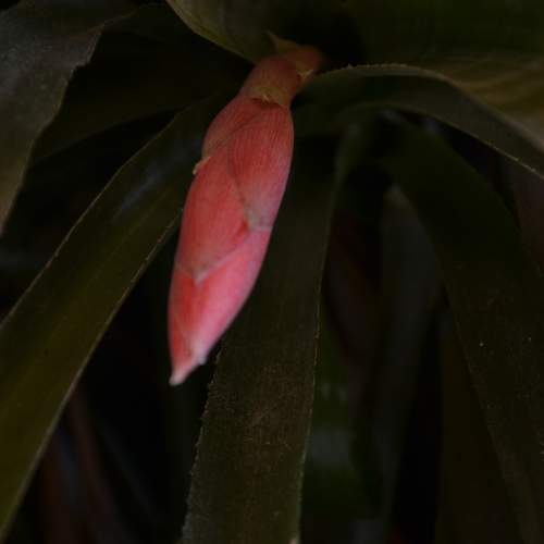 Photo #10921513