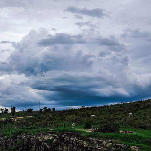 Photo #10921550