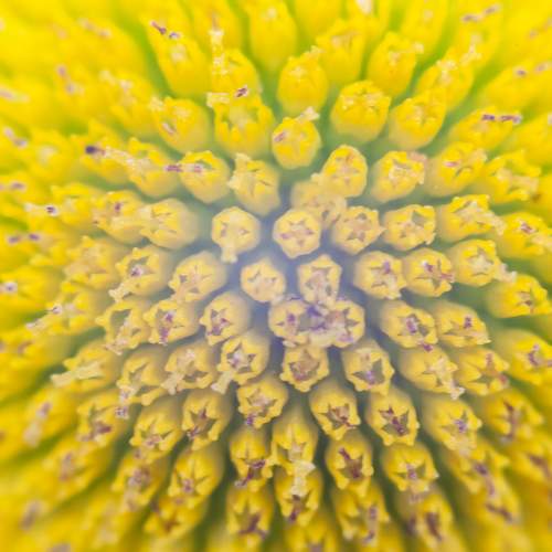 Photo #10923295
