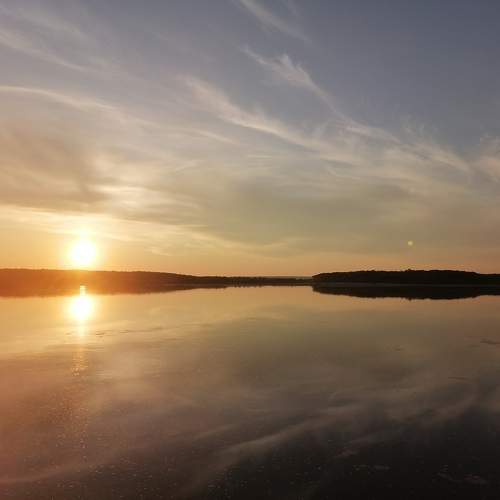 Photo #10923321