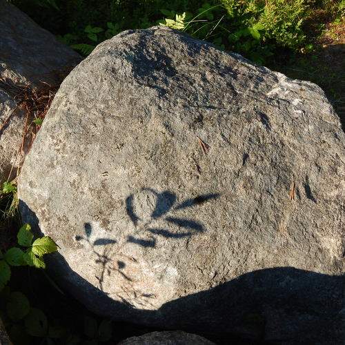 Photo #10923551