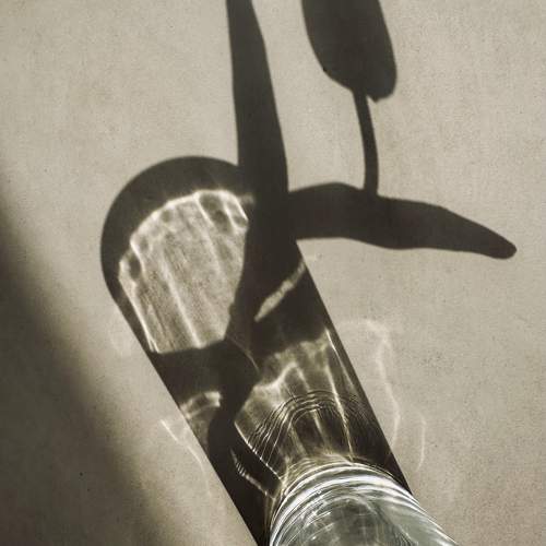 Photo #10923787