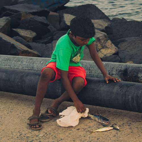 Photo #10924020