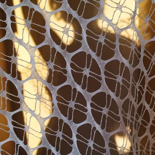 Photo #10925077