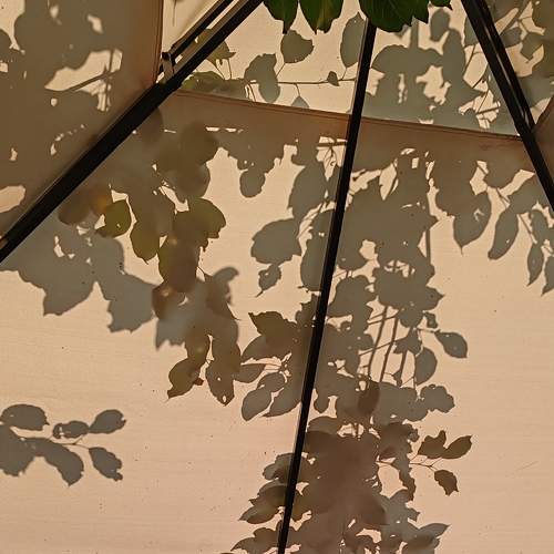 Photo #10925501