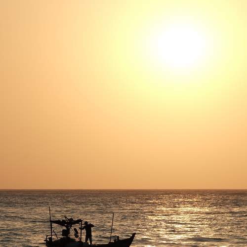Photo #10925588