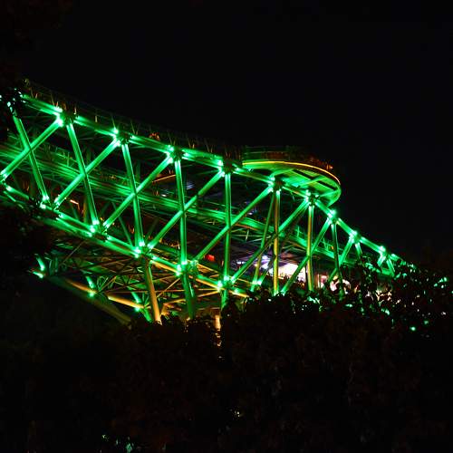 Photo #10925639