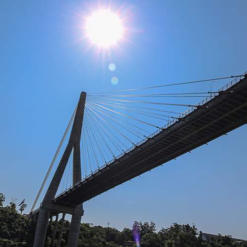 Photo #10926815