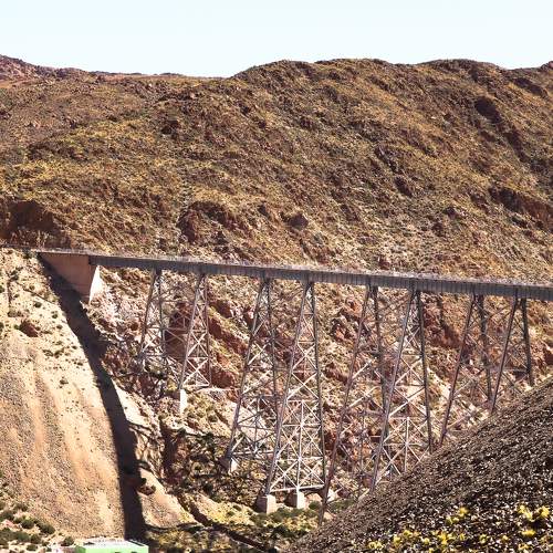 Photo #10926824