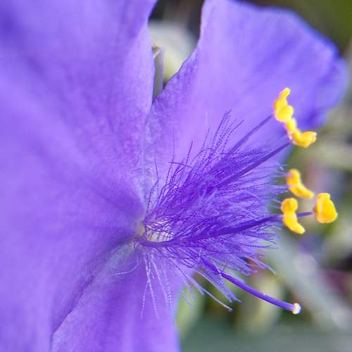 Photo #10927053