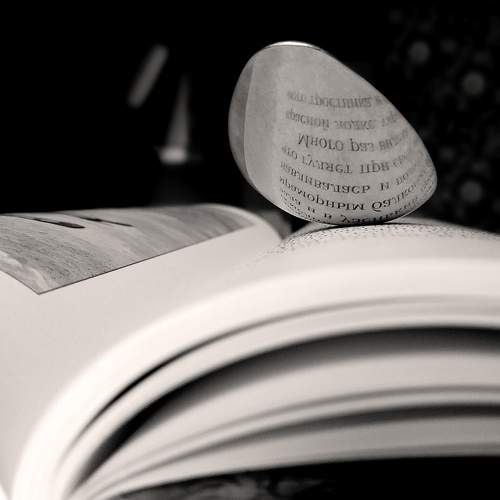 Photo #10927056