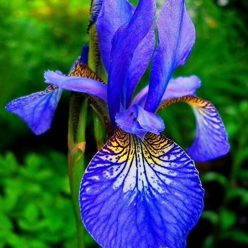 Photo #10927156