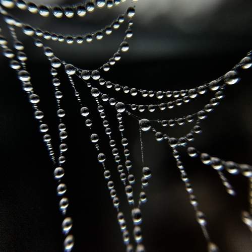 Photo #10927784