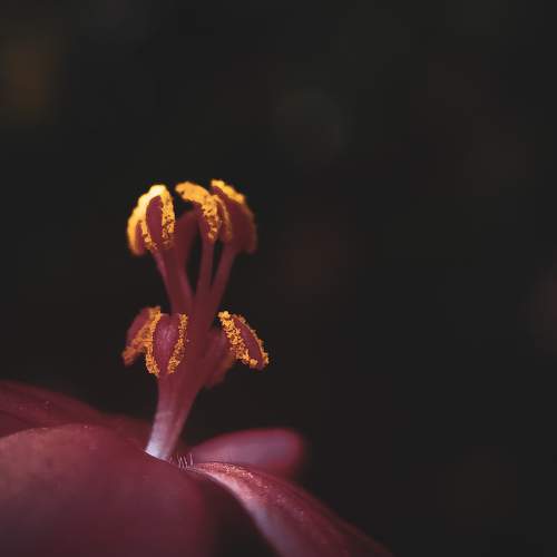 Photo #10927884