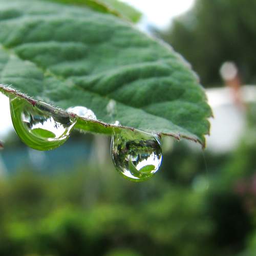 Photo #10928084