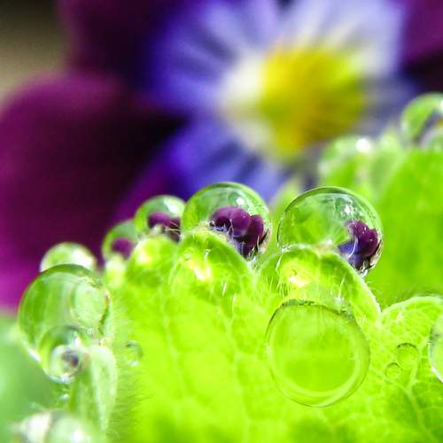 Photo #10929344