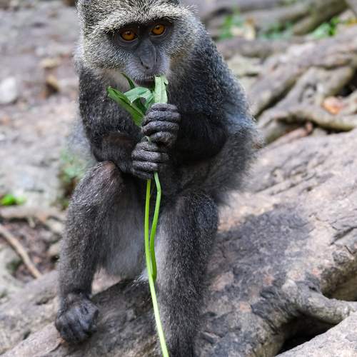 Photo #10930431