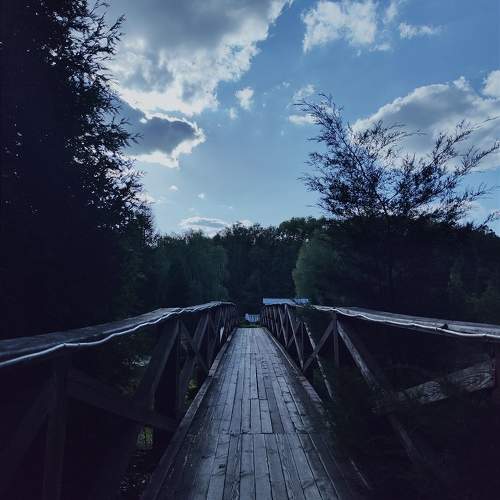 Photo #10930471