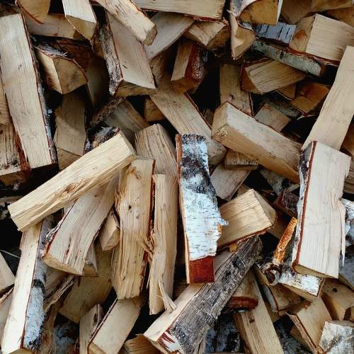 Photo #10930495