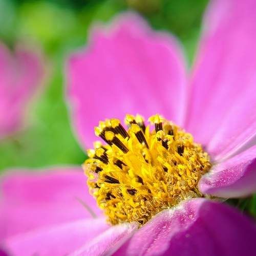 Photo #10930623