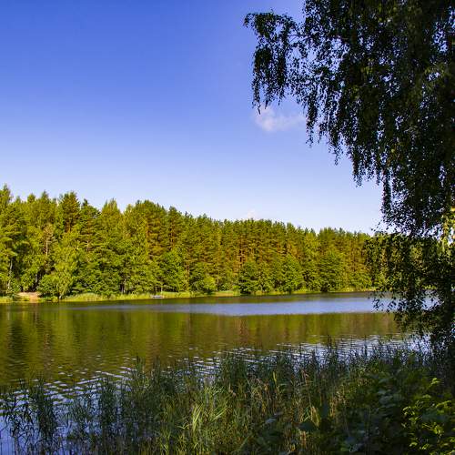 Photo #10930667