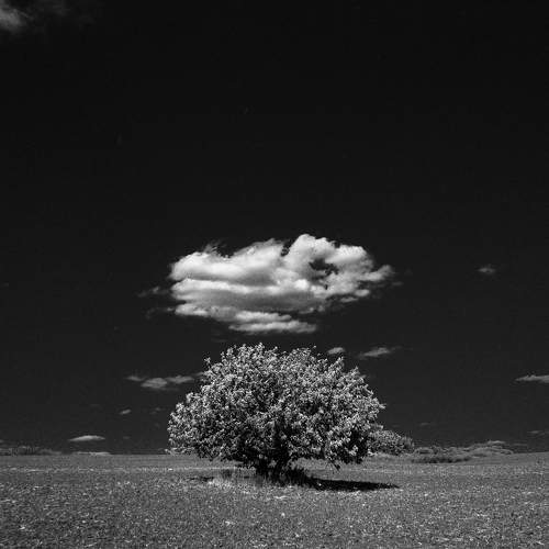 Фотография #10930950