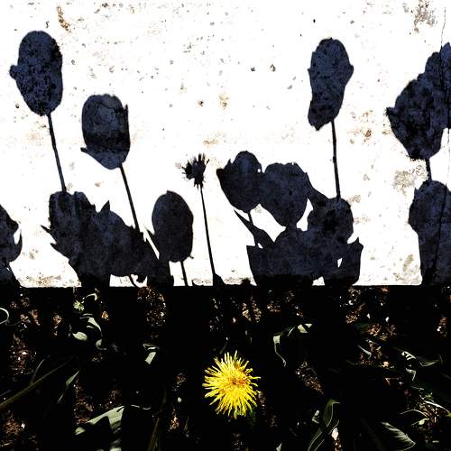 «Чужой среди своих».