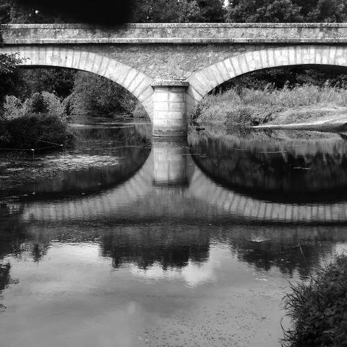 Photo #10931964