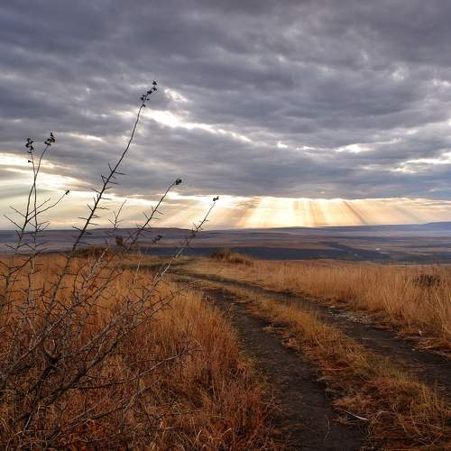 Photo #10932044