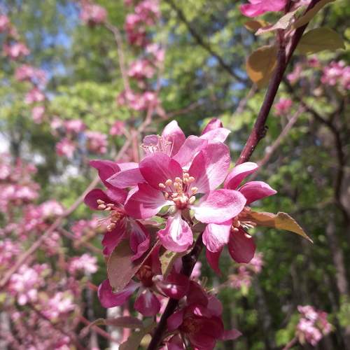 Photo #10932807