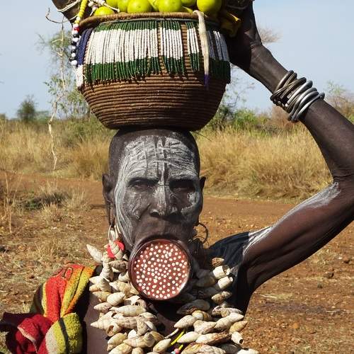 Photo #10934383