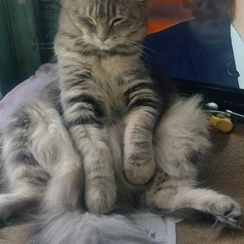 Photo #10934434