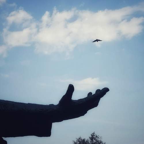 Photo #10934640