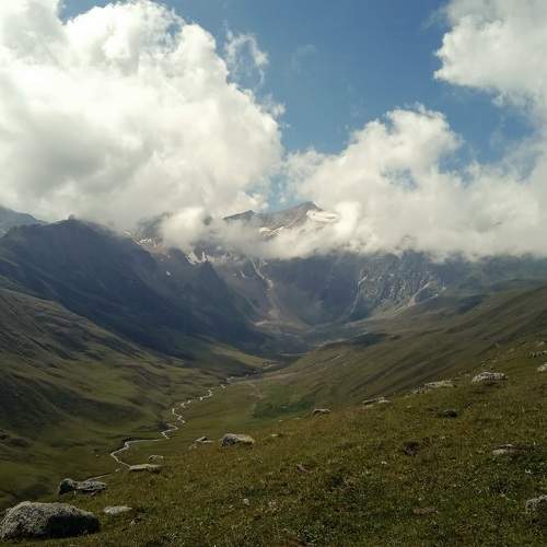 Photo #10934654