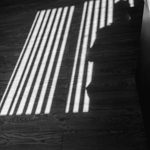 Photo #10934658