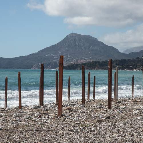 Photo #10934690