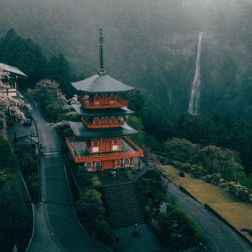 Photo #10934987