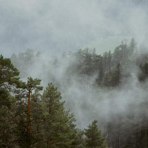 Photo #10935064
