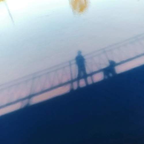 Photo #10935117
